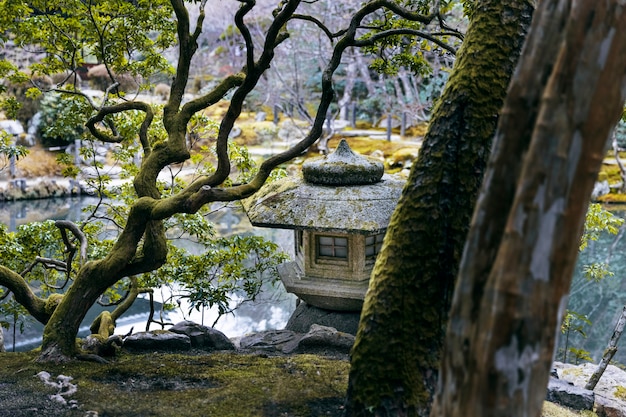 Free photo beautiful japanese garden