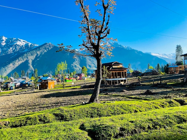 Free photo beautiful landscape of arang kel in kashmir with green fields and local houses with hidden in clouds