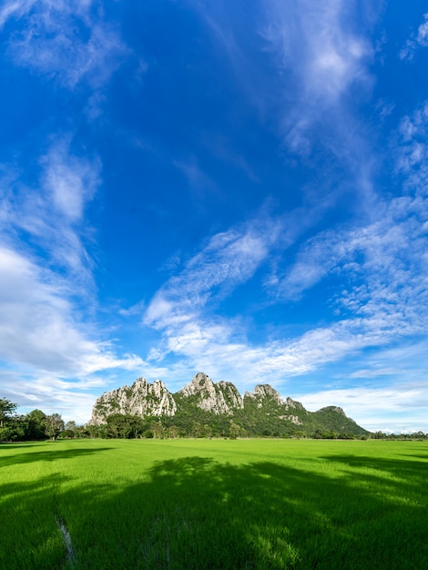 Free photo beautiful mountain on blue sky, rice fields foreground, nakhon sawan province, north of thailand