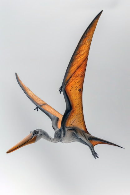 Free photo beautiful pterodactylus details