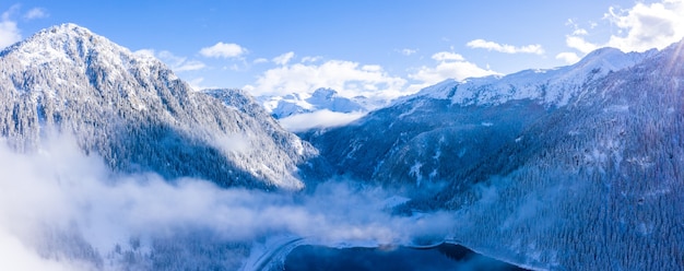 Free Photo beautiful scenery of a forest in the snowy alps in winter