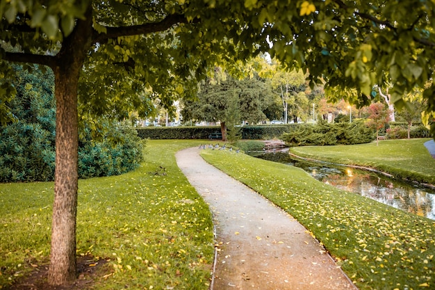 Free photo beautiful shot of park pathway surrounded with amazing nature