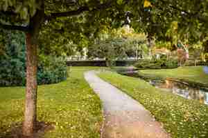 Free photo beautiful shot of park pathway surrounded with amazing nature