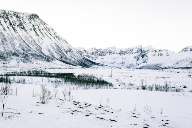 Free photo beautiful snow-covered landscape view in norway