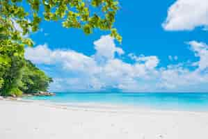 Free photo beautiful tropical beach