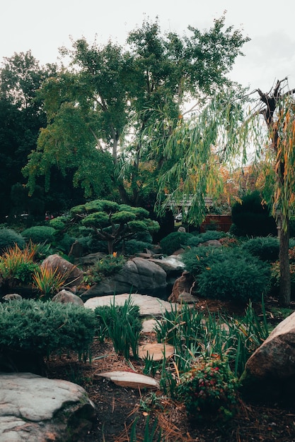 Free Photo beautiful view of mesmerizing nature at traditional styled japanese adelaide himeji gardens