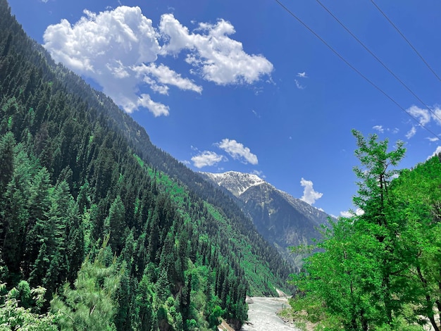 Free photo beautiful view of rice fields in the lush green leepa valley kashmir pakistan