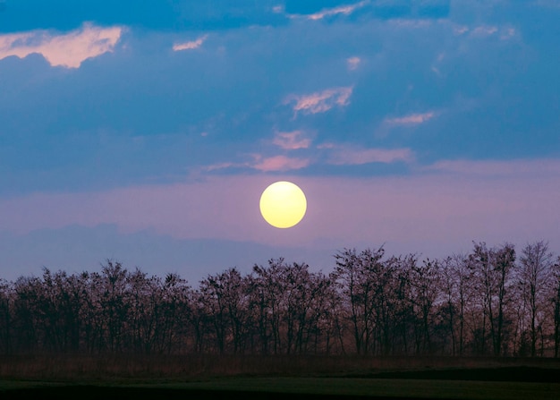 Free Photo beautiful view of sunset light