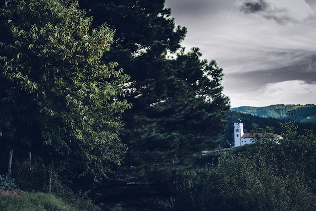 Free photo beautiful view of a white building in the middle of the trees in a forest under the cloudy sky