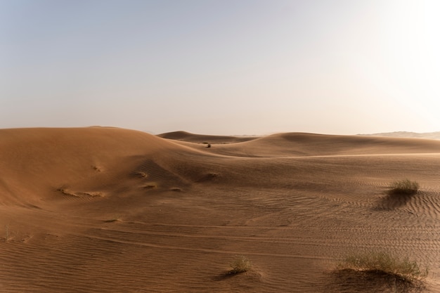 Free photo beautiful and warm desert landscape