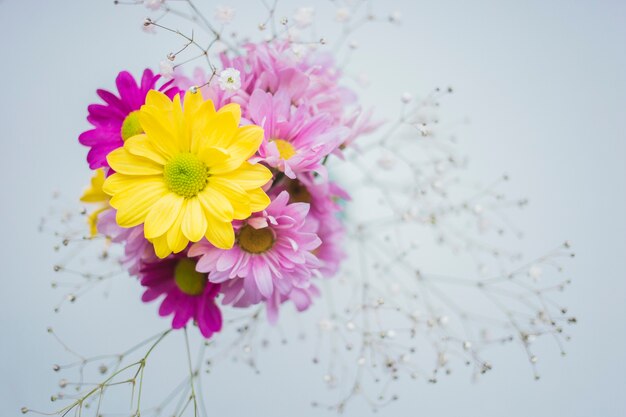 Beautiful yellow flower with purple flowers