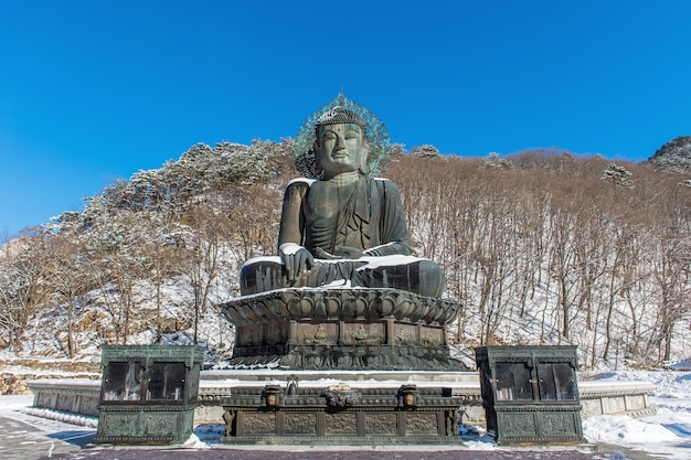 Free Photo big buddha monument of sinheungsa temple in seoraksan national park in winter, south korea