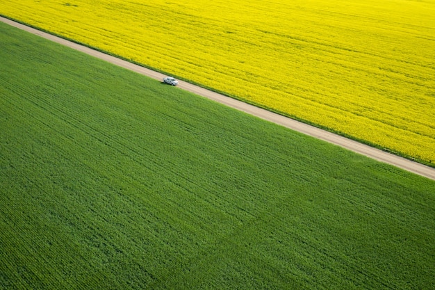 Free photo bird's-eye view of a large field with a narrow road in the middle during a sunny day