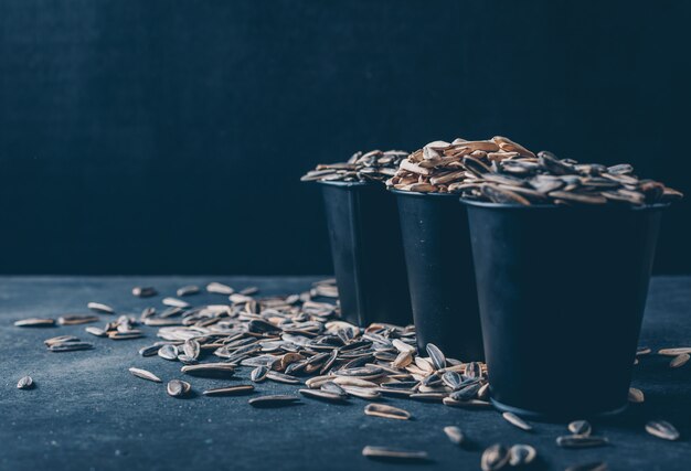 Free photo black and white sunflower seeds in a buckets side view on a black background