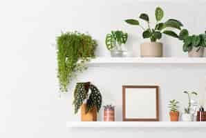 Free photo blank frame on plant shelf home decor ideas