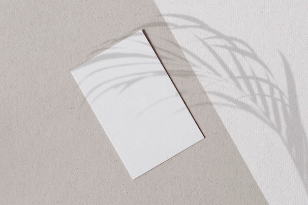 Free Photo blank white paper with palm leaves shadow on a two tone wall