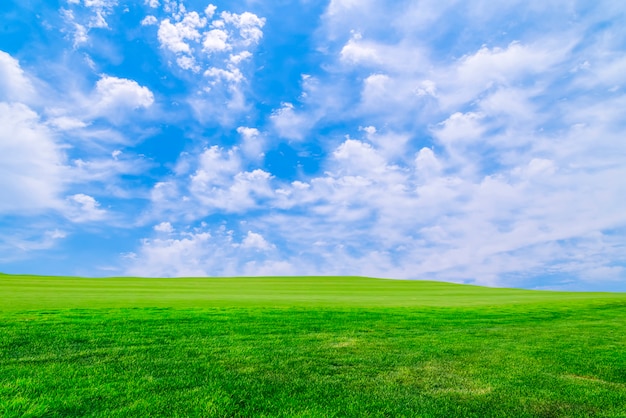 Free photo blue sky and clouds