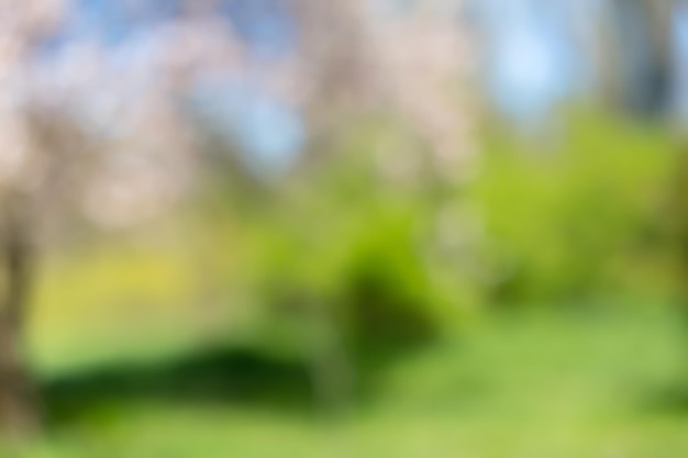 Free photo blurred park vibrant green natural background