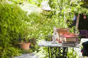 Free photo books on table in backyard