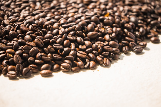 Free photo brown coffee beans and seed