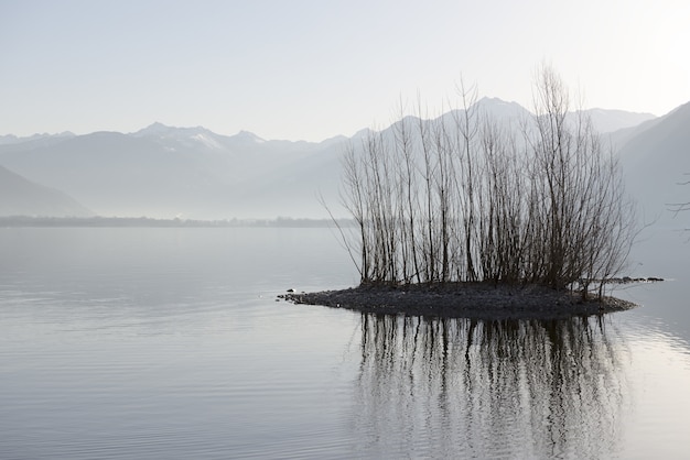 Free photo bushes and its reflection in the middle of the lake with mountains