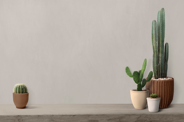 Free photo cactus on a shelf by a blank wall background