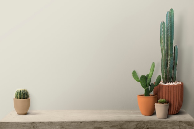 Free photo cactus on a shelf by a blank wall background