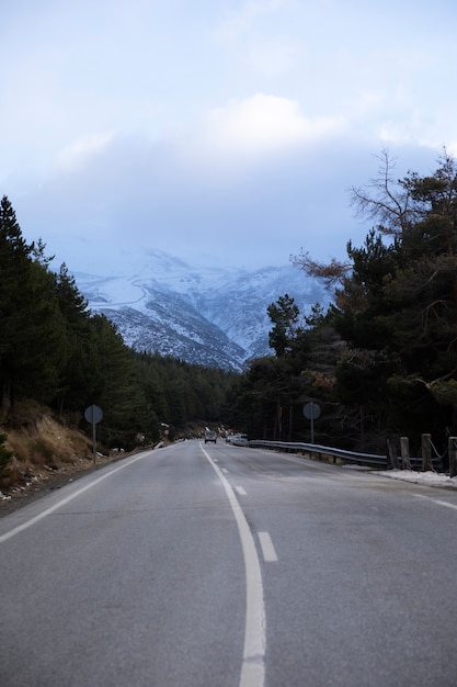 Free Photo car on the road through the forest during winter trip