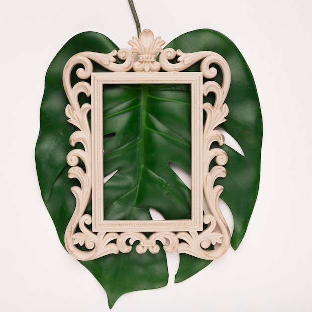 Free photo carving rectangular wooden frame on green single monestra leaf against backdrop