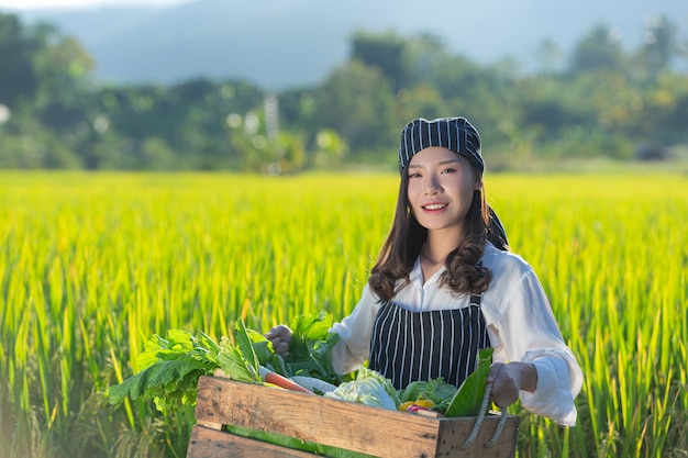 Free photo chef harvesting fresh produce off organic farm