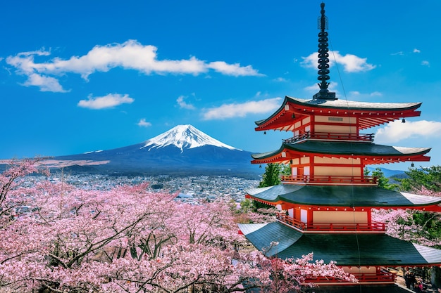 Free photo cherry blossoms in spring, chureito pagoda and fuji mountain in japan.