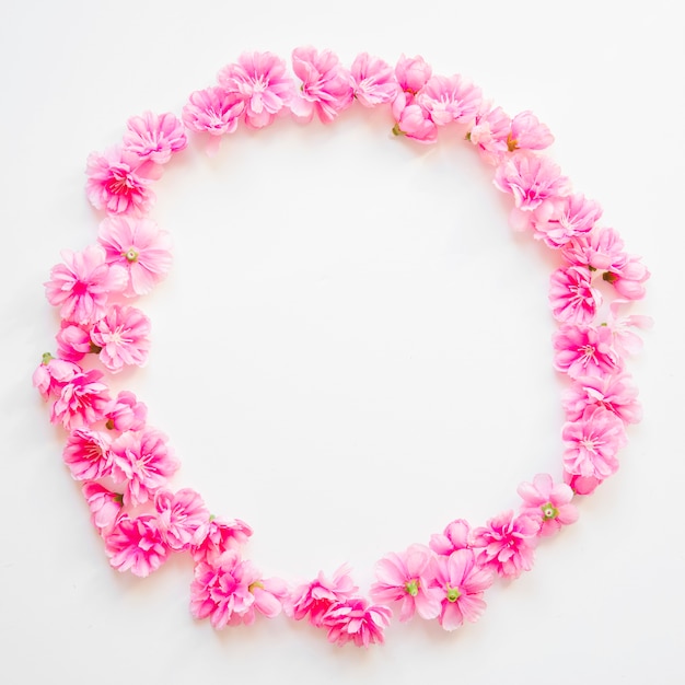 Free photo circle from pink flowers