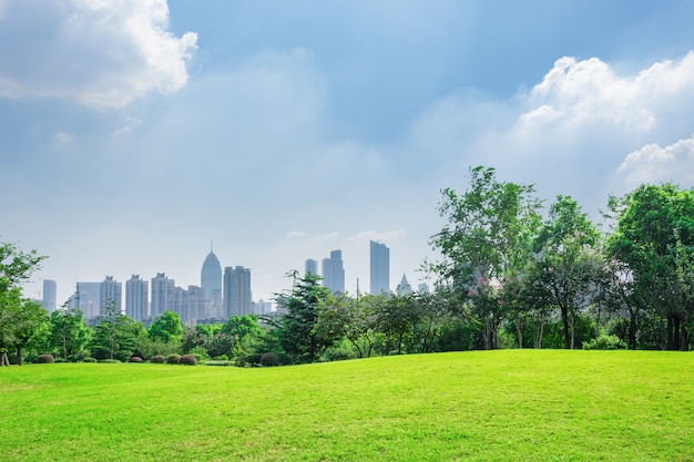 City park under blue sky with Downtown Skyline in the Background