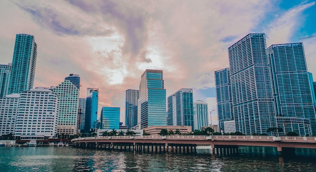 Free photo cityscape with a bridge and skylines in brickell key park miami usa