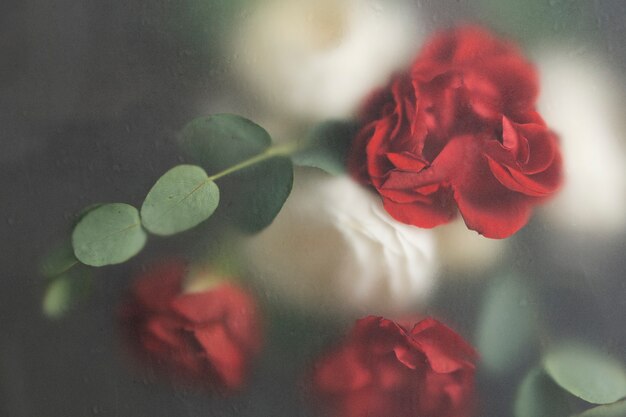 Close up on beautiful blooming flowers