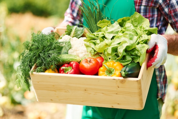 Free photo close up of box with vegetables in hands of mature man