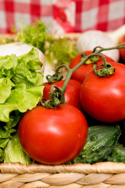 Close-up bucket with tomatoes and cucumbers