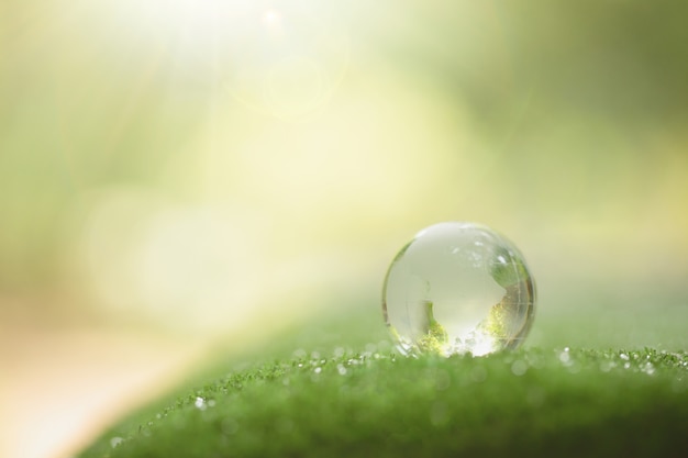 Free Photo close up of crystal globe resting on grass in a forest