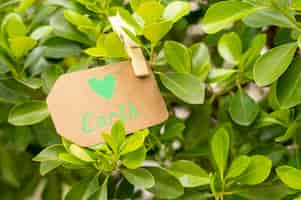 Free photo close-up earth sign in leaves