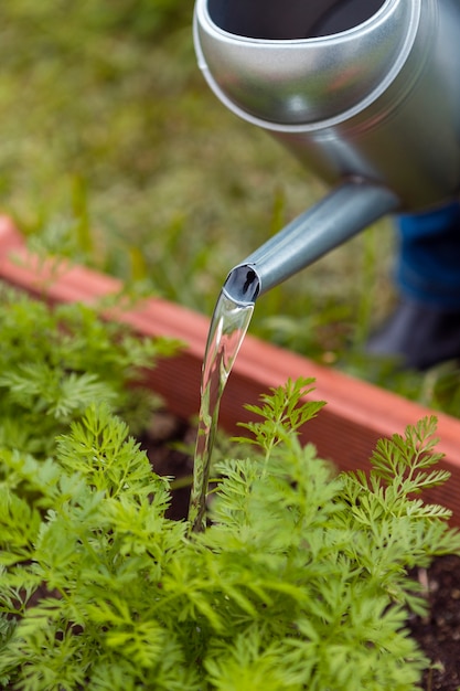 Free photo close-up gardener watering with sprinkler