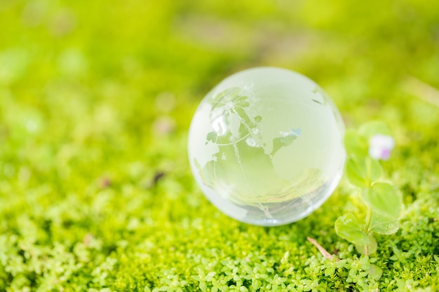 Free photo close up of glass globe in the forest.