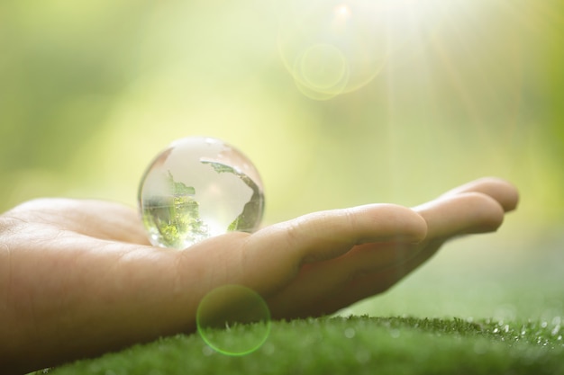 Free photo close up of green planet in your hands. save earth.