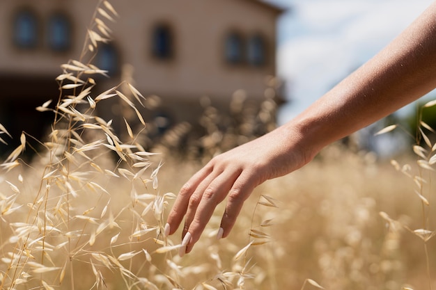 Free photo close up hand touching plant