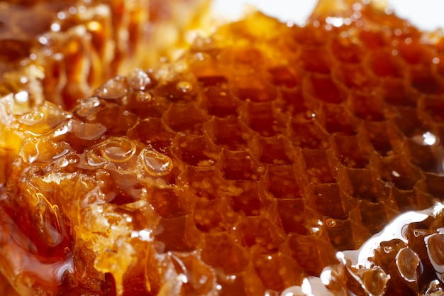 Free photo close-up of honeycomb with beeswax and honey