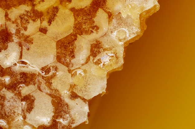 Free photo close-up of honeycomb with beeswax