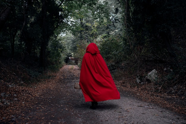Close up on little red riding hood