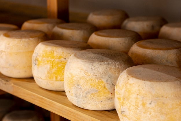 Free photo close-up matured cheese wheels