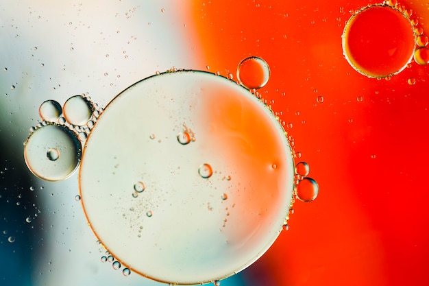 Free photo close-up oily bubbles and droplets in colourful watery backdrop