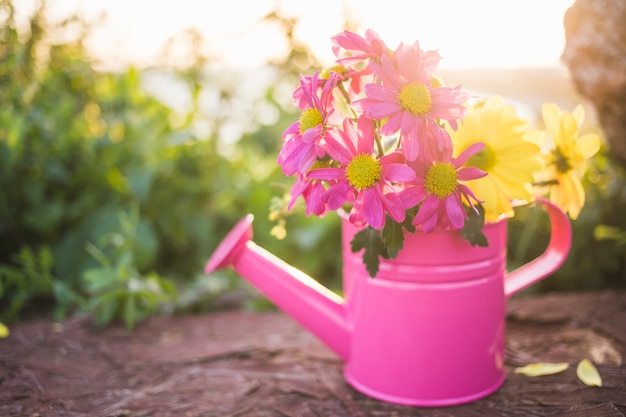 Close-up of pink watering can with pretty flowers