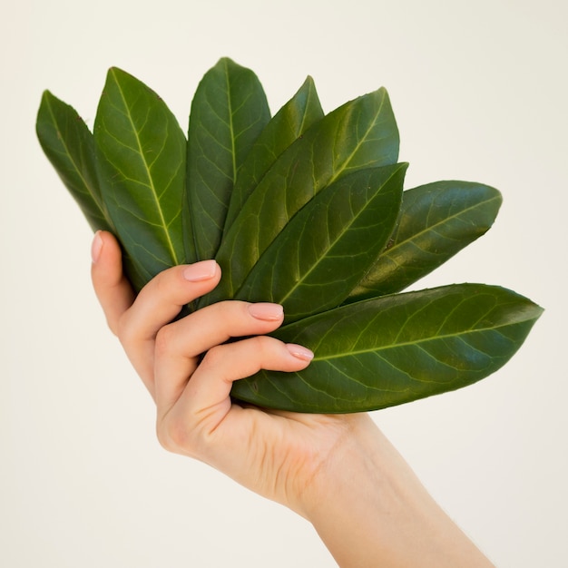 Close-up view of hand holding a leaf